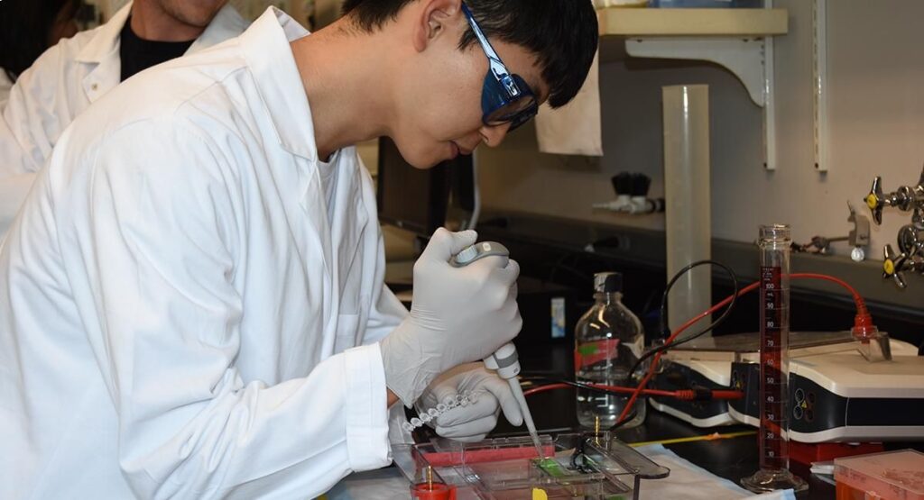 Environmental toxicology doctoral student Joe Lim works in the lab.